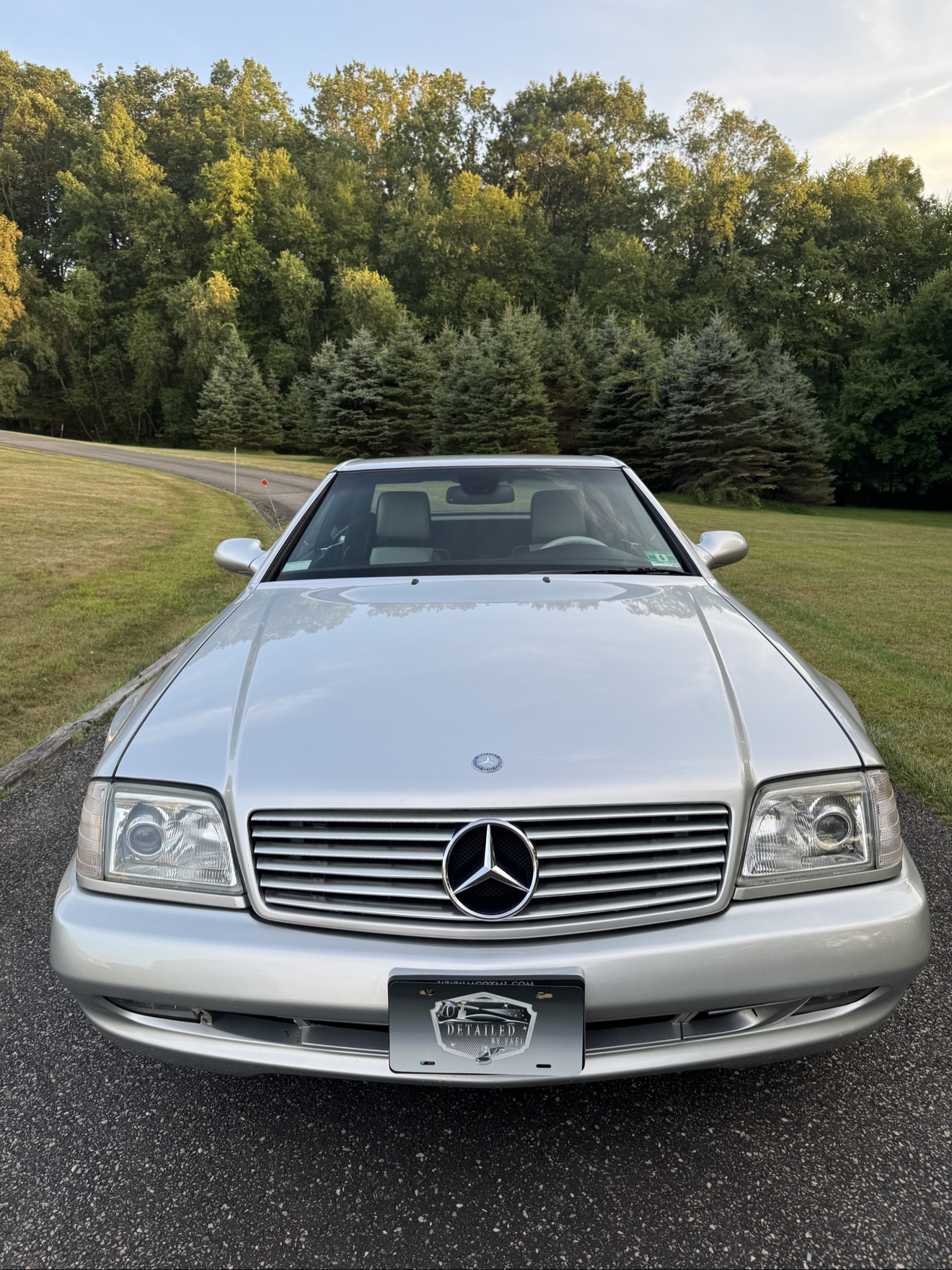 Front view of a silver Mercedes-Benz SL500 with Detailed by Yael plate frame
