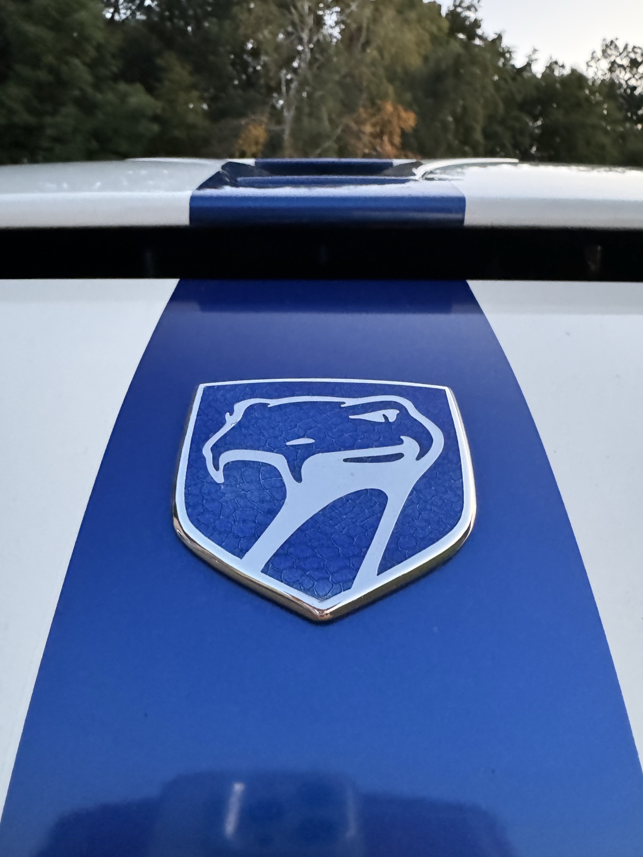 Close-up of the Viper badge on blue paint with white racing stripe